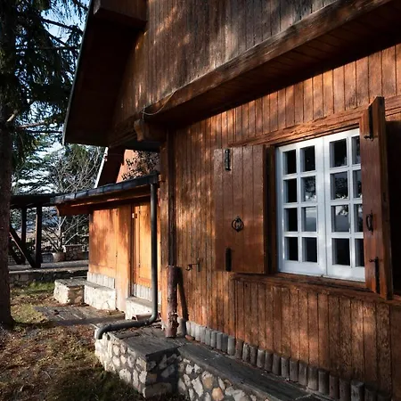 In Legno