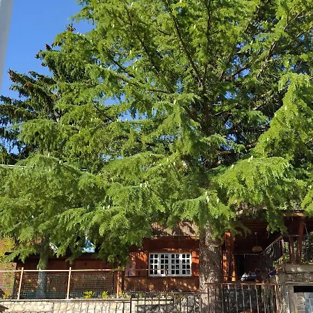 In Legno * Campo di Giove